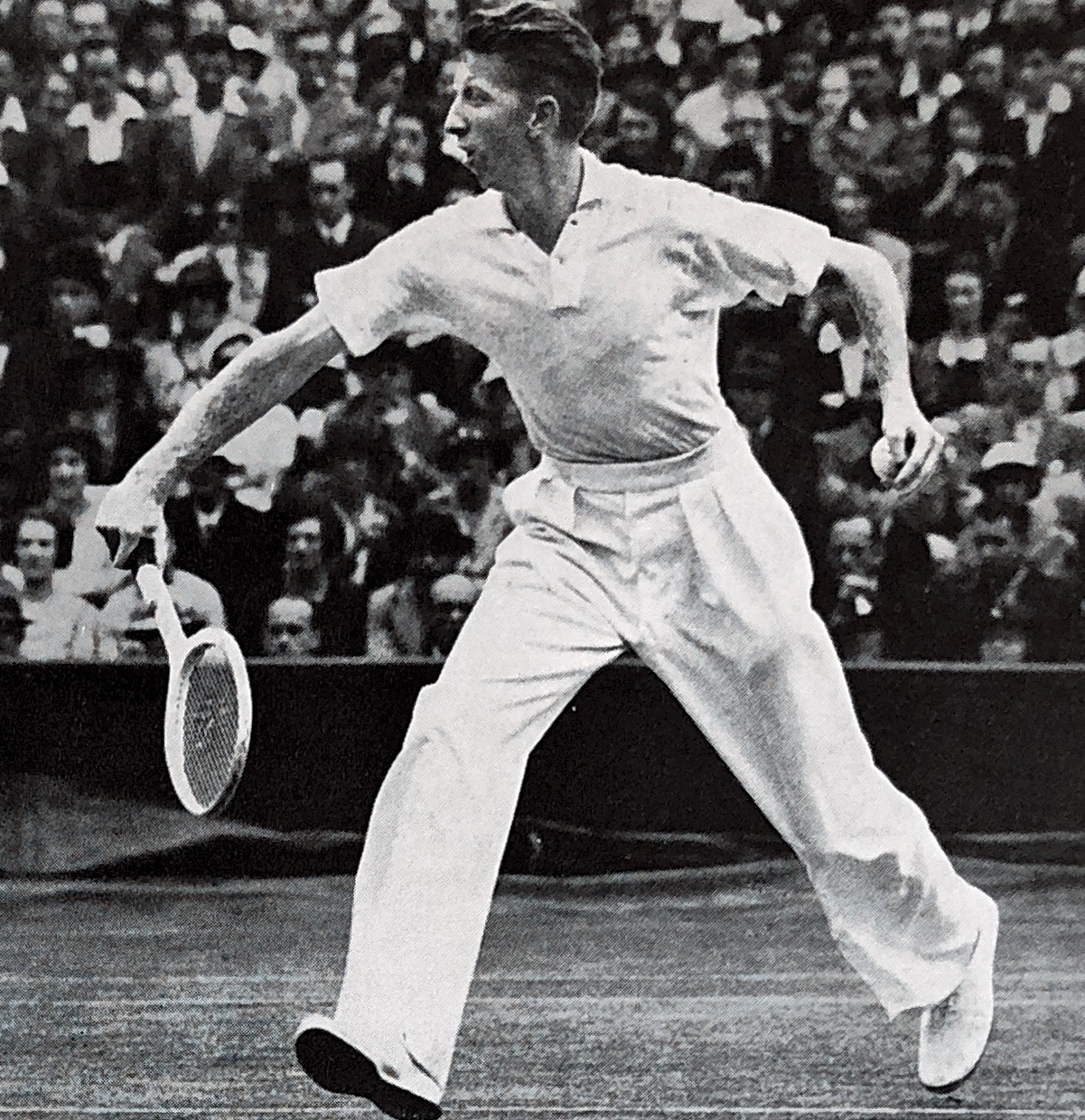 115 Donald Budge Amerika Wimbledon