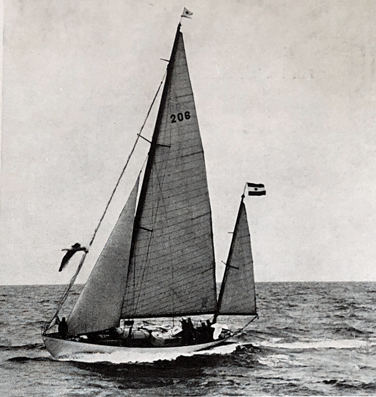 175 Zeearend IJmuiden Solent race