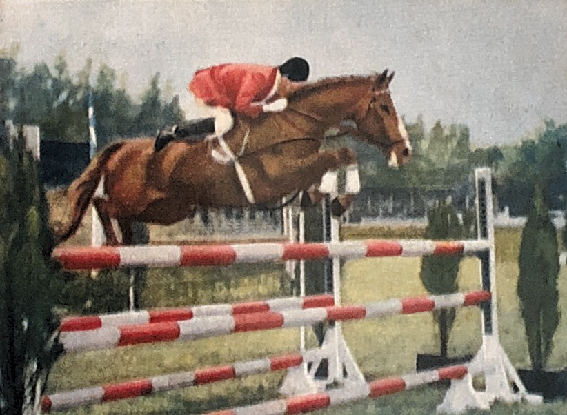 13 Paardensport Winkeler