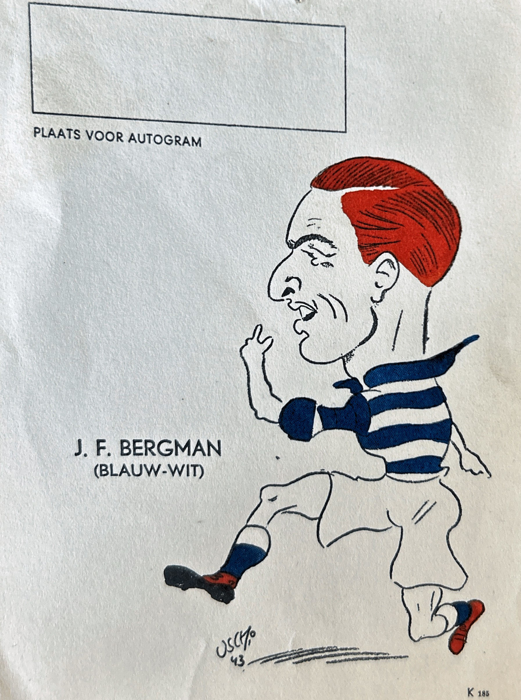 Bergman Blauw Wit