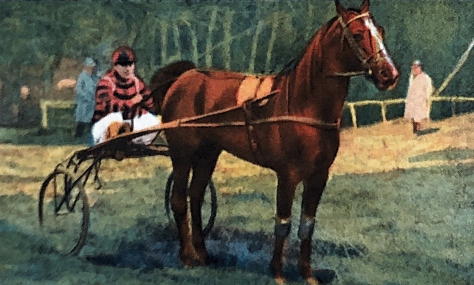 78 van Leeuwen Paardensport