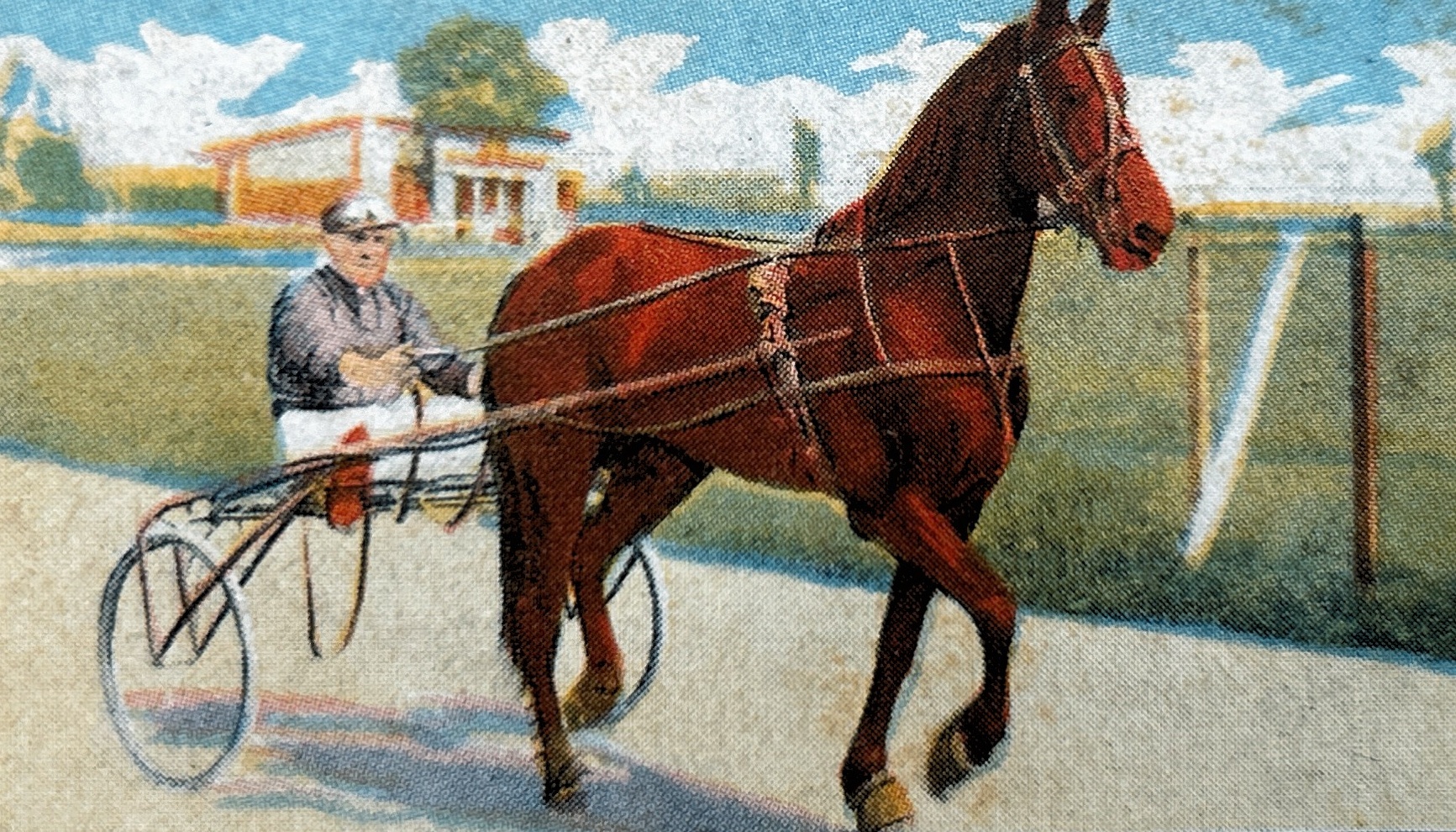 94 Schacht Schabel Paardensport