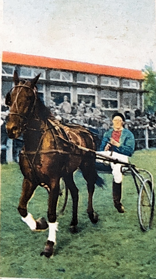 101 Paardensport Daria Eisinga