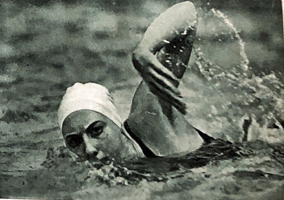 132. Zwemmen – 100 M. vrije slag dames. Miss Helen Madison … won de 100 M. in fraaien stijl