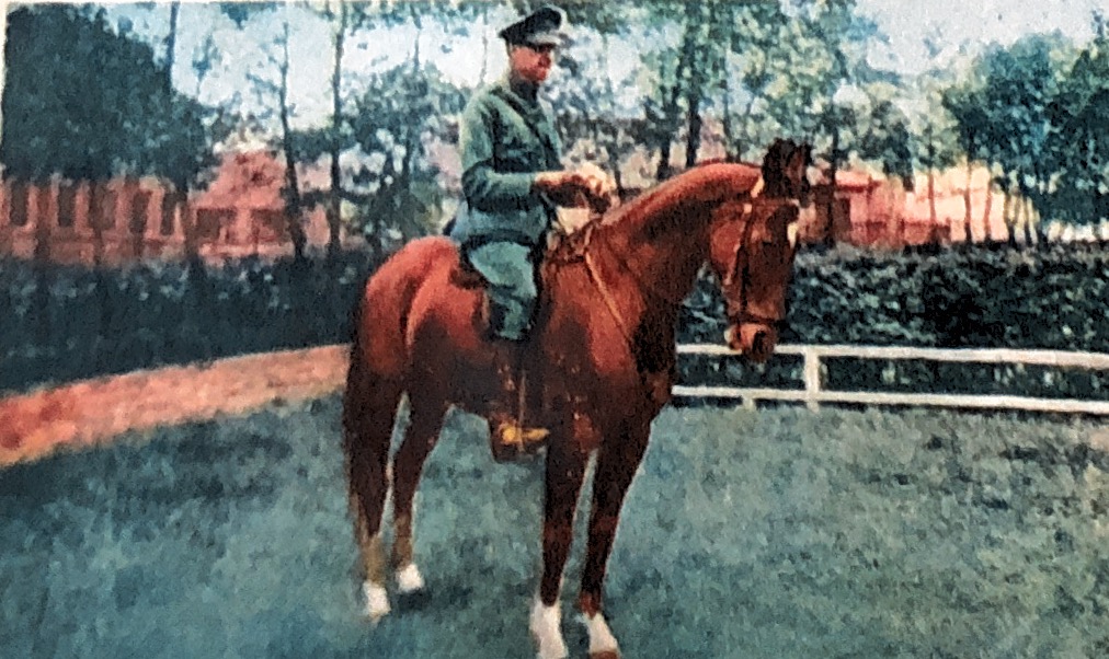 22 Paardensport LT Schummelketel