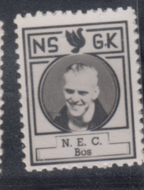 Bos NEC