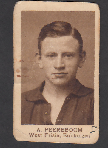 Peereboom West Frisia Enkhuizen