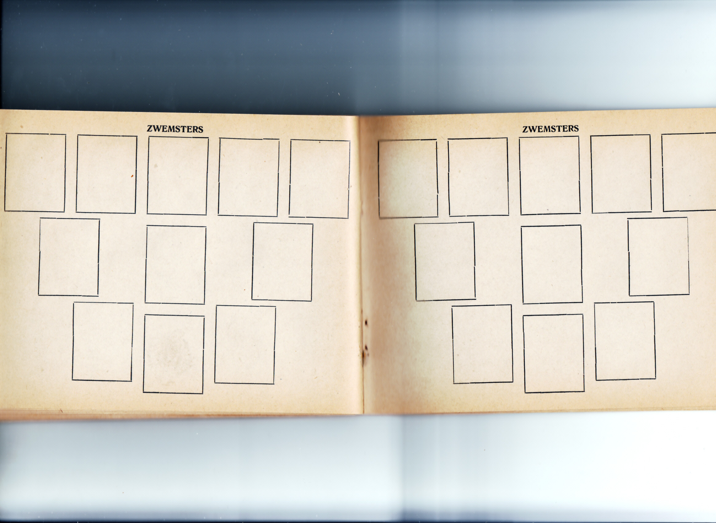 Zwemsters en Zwemsters