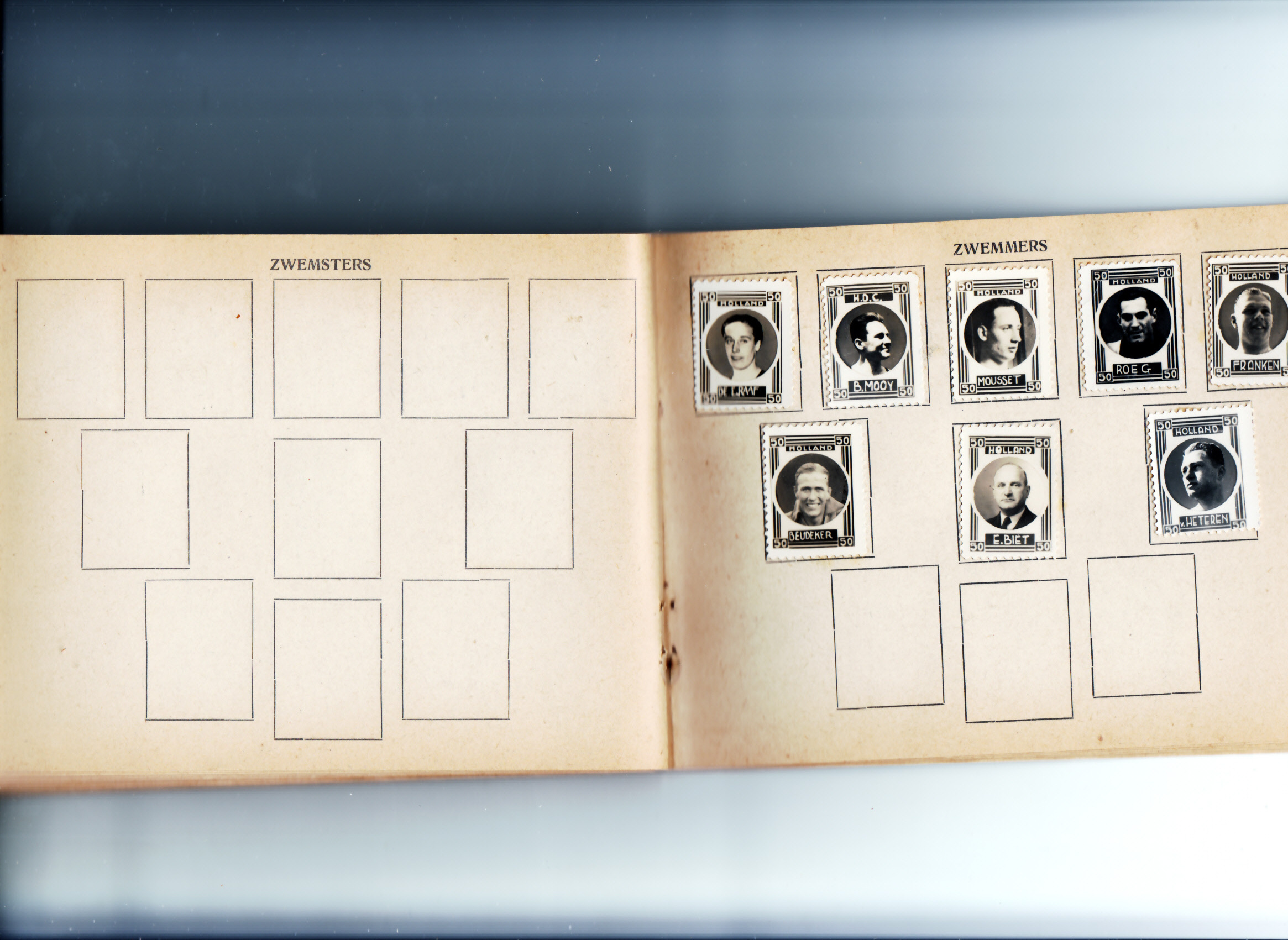 Zwemsters en Zwemmers